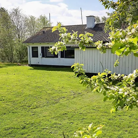 6 Person In Spottrup-by Traum 펜션